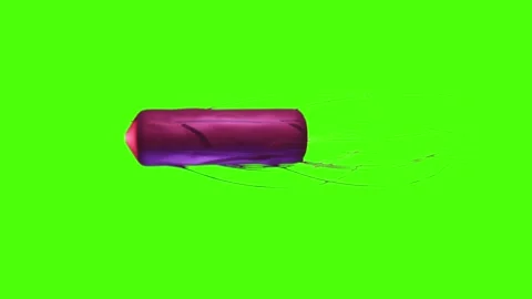 A Shigella Bacteria or Pathogen over Green Screen Vidéo 333659248