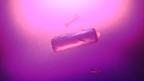 Shigella Bacteria or Pathogens 3D Cinematic Animation Stock Footage 333659250