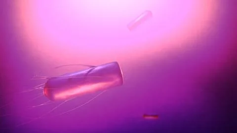 Shigella Bacteria or Pathogens 3D Cinematic Animation 1000 Stock Photos