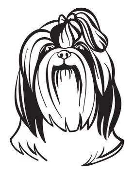 Shih Tzu dog vector Stock Illustration