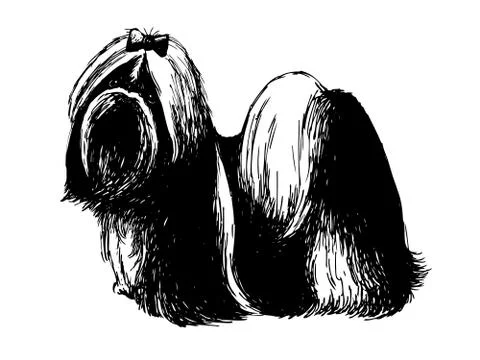 Shih tzu 스톡 일러스트