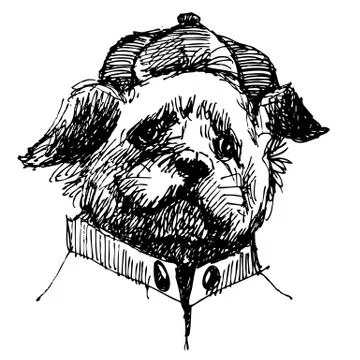 Shih tzu イラスト素材