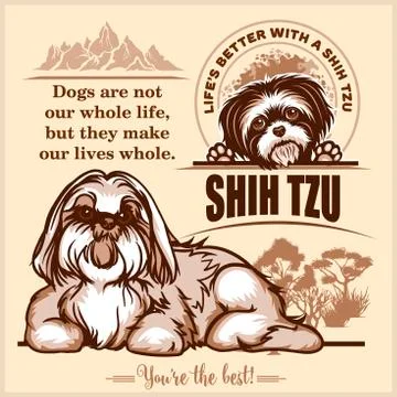 Shih Tzu - vector set for t-shirt, logo and template badges on light Stock Illustration
