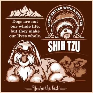 Shih Tzu - vector set for t-shirt, logo and template badges on dark Stock Illustration