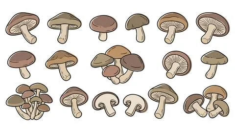 Shiitake Mushroom Cartoon Vector Collection Stock Illustration