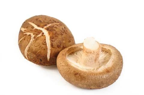 Shiitake mushroom Stock Photos