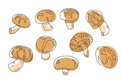 Shiitake mushroom set with dots Stock Illustration