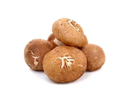 Shiitake mushroom on white background Stock Photos