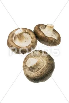 Shiitake mushrooms Stock Photos