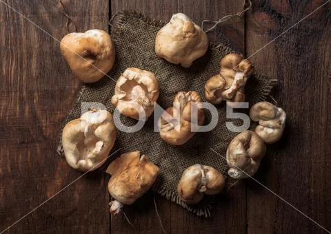 Shiitake mushrooms on rustic wood with studio lighting Stock Photos