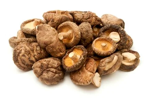 Shiitake Stock Photos