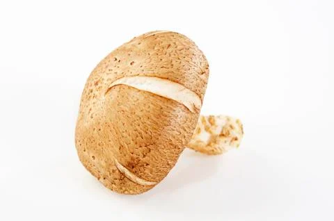 Shiitake Stock Photos