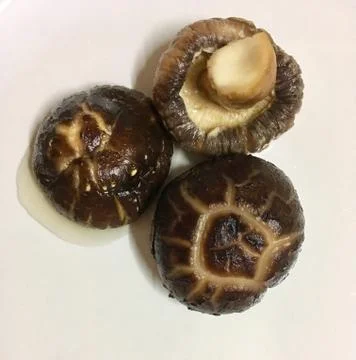 Shiitake Stock Photos