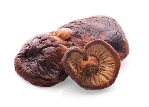 Shiitake Stock Photos