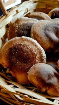 Shiitake Stock Photos