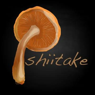 Shiitake vector illustration Stock Illustration