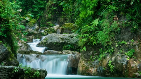 Shikhar Fall Video stock 133697980