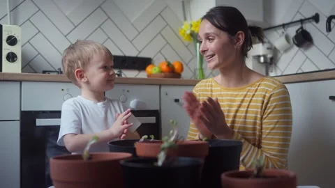 Сhild sitting with mother at the kitchen table counts pots of seedlings Stock Footage 331440291
