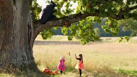 Сhildren are standing under a tree, on which a reaper is sitting with a candy Stock Footage 160810271