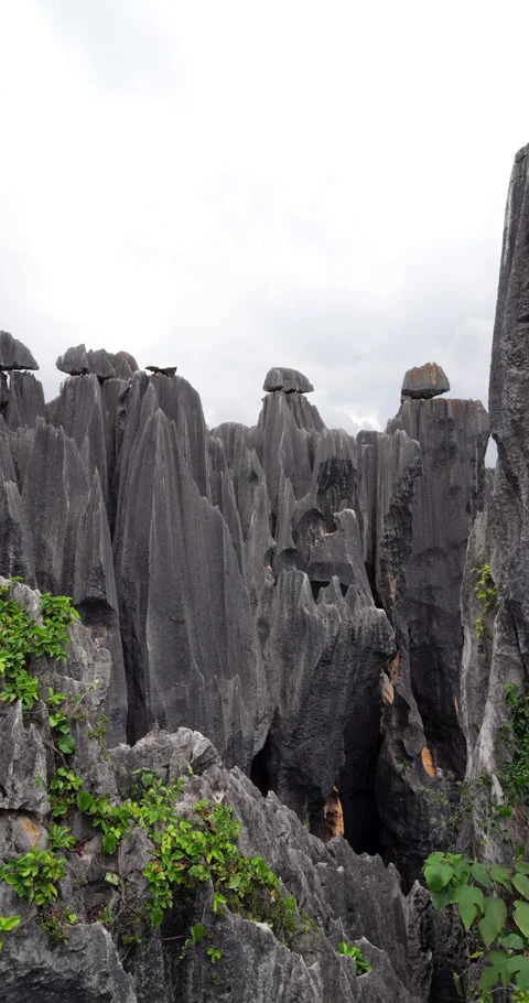 Shilin Stone Forest karst formation topped with balancing caps, panning view Stock Footage 329622609