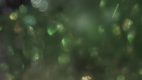 Shimmer Blinking Effect Bokeh 動画素材 317533360