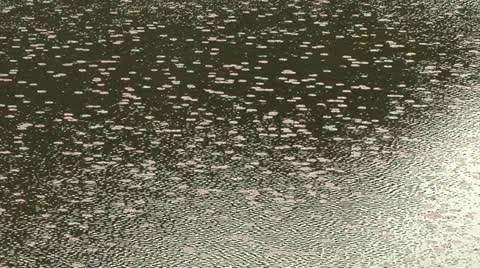 Shimmer Stock Footage 10887515