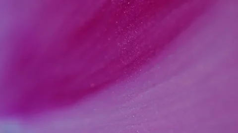 Shimmer texture defocused pink wave spark liquid Stock Footage 314734241