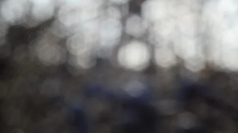 Shimmering abstraction and bokeh Stock-Footage 141591453