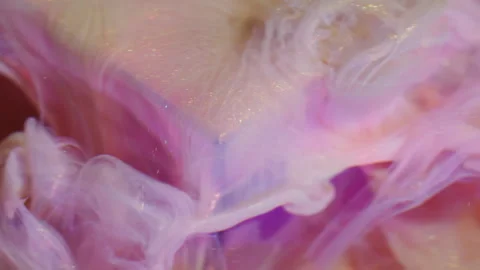 Shimmering drip blurred fluid blend spill cube Video stock 328039571