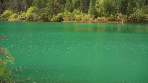 Shimmering Emerald Surface of Arrow Bamboo Lake in Jiuzhaigou National Park Stock Footage 334122356