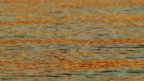 Shimmering Evening Reflections Across a Calm Ocean Surface 動画素材 337527284