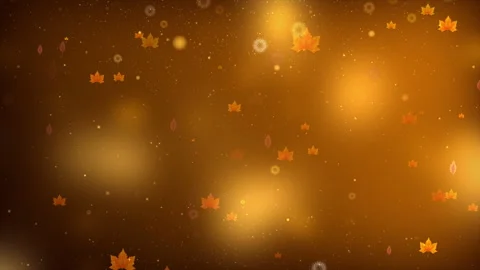 Shimmering Fall Background With Leaves Stock Footage 340353006