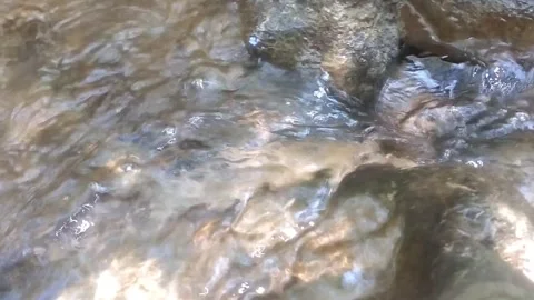 Shimmering Flow of a Clear River Видео 334662949