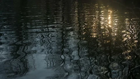 Shimmering Lake Видео 169576453