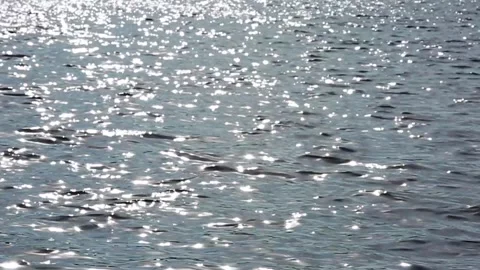 Shimmering Lake Stock Footage 259320829