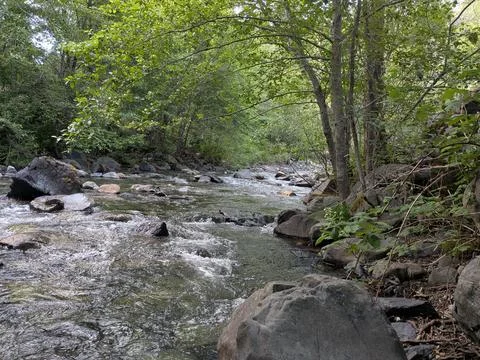 Shimmering mountain stream flowing over rocky beds Stock-Fotos