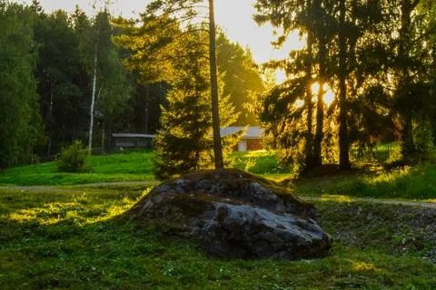Shimmering particles in the light of the setting sun Stock Photos