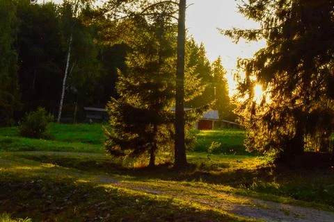 Shimmering particles in the light of the setting sun Stock Photos
