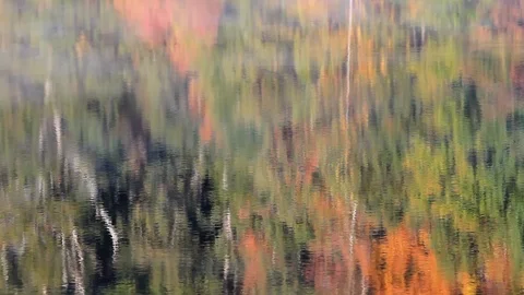 Shimmering reflections of fall leaves in the waters of a lake. Stock Footage 119347436