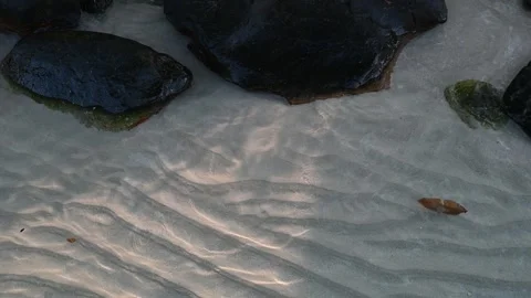 Shimmering ripples on sandy shore with rocks in shallow water Видео 311870153