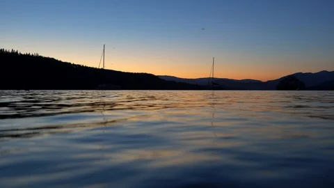 Shimmering River and Bats Stock Footage 109159720