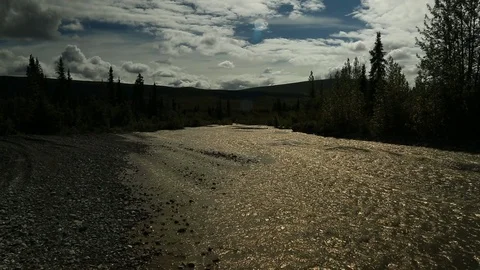 Shimmering Skookum Creek at Dusk in Alaska Stock Footage 121540407