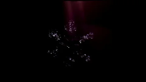Shimmering snowflake on a purple background Stock Footage 75811743