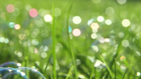 Shimmering soap bubbles with rainbow reflections on grass. Stock Footage 315703686