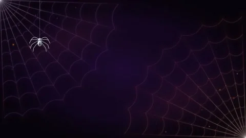 Shimmering spider web on purple background with crawling spider. 4K Video stock 342781765
