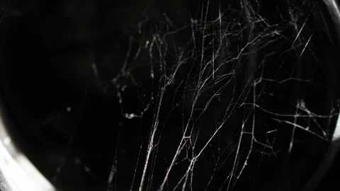 Shimmering spiderweb threads in complete darkness. Stock Footage 315572067