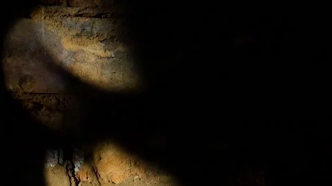 Shimmering sunbeams on a brick wall. Stock Footage 162651414