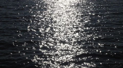 Shimmering Sunlight Stock-Footage 60219873