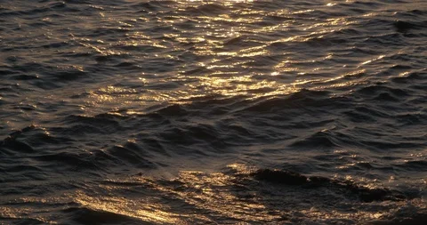 Shimmering sunlight on the ocean Stock Footage 123599465