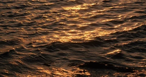 Shimmering sunlight ocean sunset Stock Footage 123604066